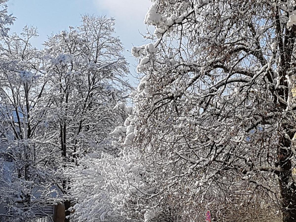 Stas-Przy Szkole Nr3 W Skawie Skawa Exteriör bild